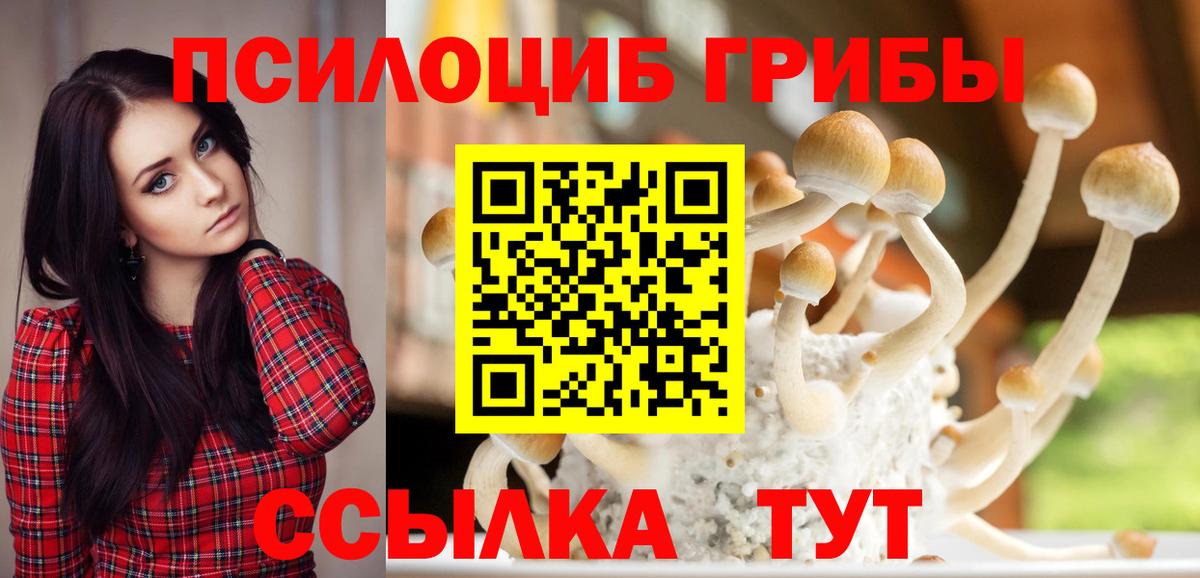 Галлюциногенные грибы мухоморы Усть-Илимск
